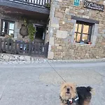 Rurales El Collain De Appartement Campiellos