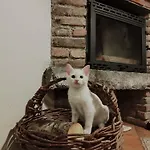 Rurales El Collain De Campiellos