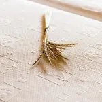 Rurales El Collain De Campiellos