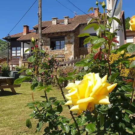 Rurales El Collaín De Apartamento