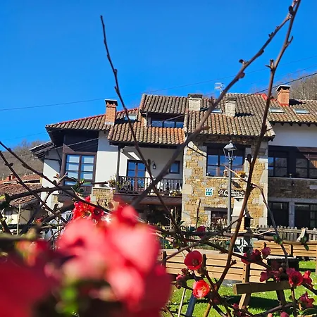 Rurales El Collain De Campiellos