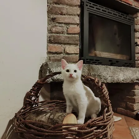 Rurales El Collain De Campiellos