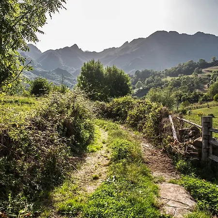 Rurales El Collain De Apartman Campiellos