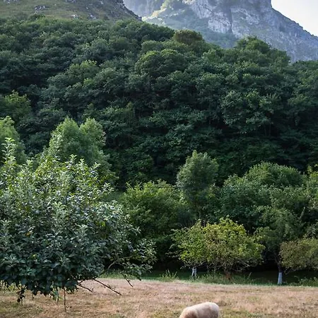 Rurales El Collain De Campiellos