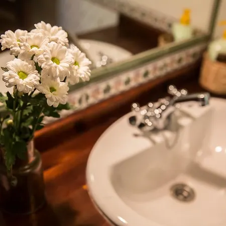 Apartman Rurales El Collain De *