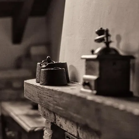 Rurales El Collain De *