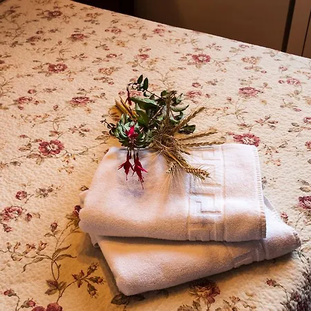 Rurales El Collain De